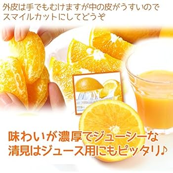 Amazon.co.jp: みかん 10kg 清見 オレンジ 愛媛・和歌山産 ご